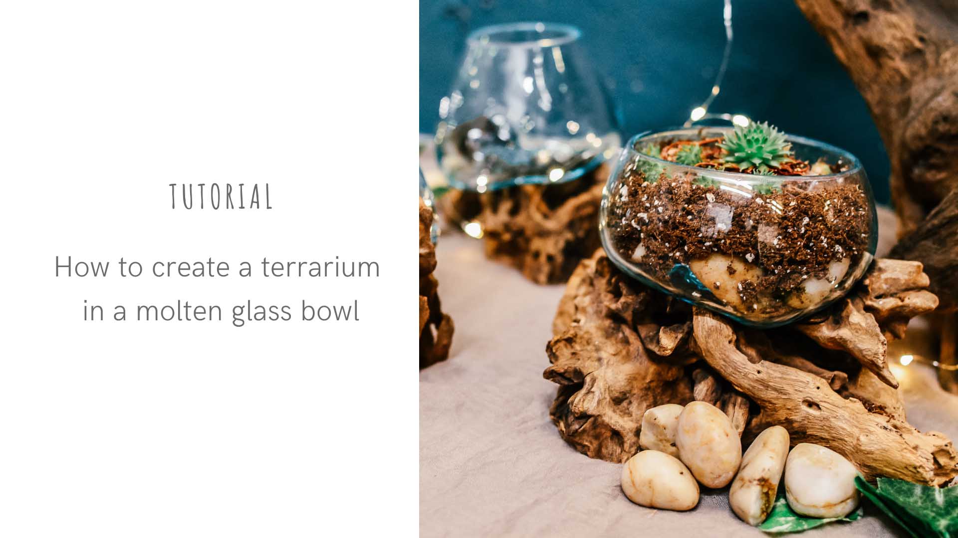 How to make a terrarium in a molten glass bowl – Tutorial