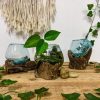 Molten glass bowl planter on wood